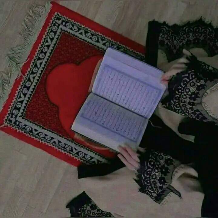 صبر کر یقین رکھ تو کر دل سے دعا 
وہ رب تیری دعا سننے کا انتظار کر رہا ہے

Gud morning