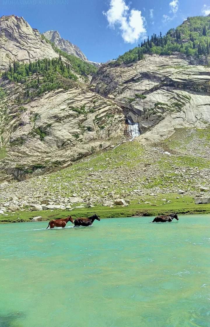 Utror valley Swat #tourist #BEAUTIFUL_SHADOW