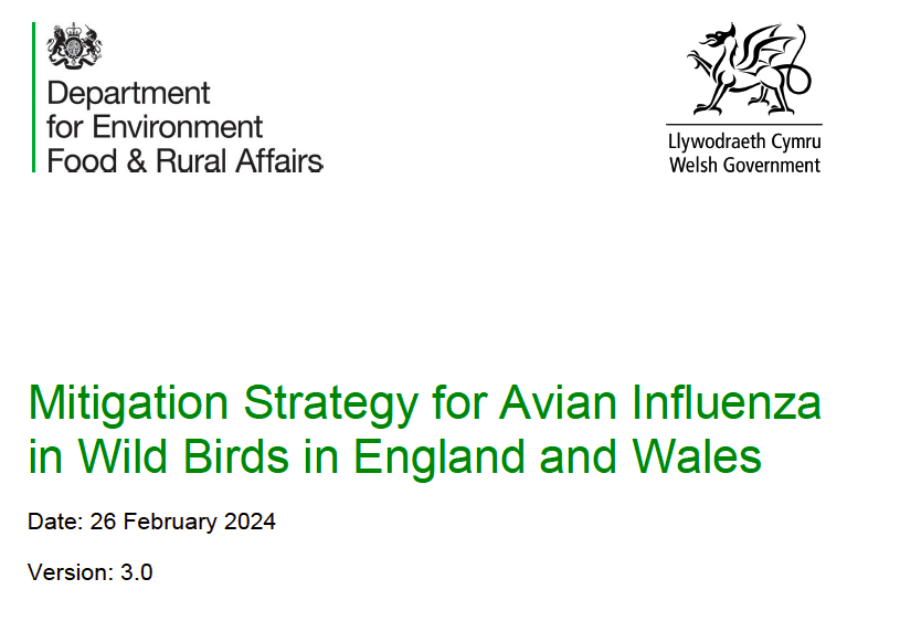 DEFRA have released a comprehensive outline of mitigation strategies for avian influenza in wild birds in England and Wales. Lots of great ideas that can be implemented in other countries and contexts! 👉assets.publishing.service.gov.uk/media/65f469d3…