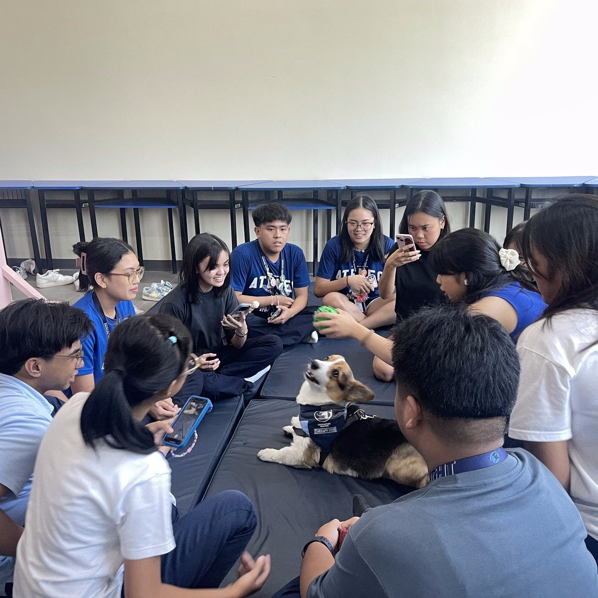 The fun never ends here! 💙🐶

Communitails visited the Ateneo Senior High School again to continue the student organization Mapulon's Dr. Doggo project. Good thing our dogtors Ramen (@therapyramen) and Yugo (@wherever_yugo) were on the job! 🐾🩺

#therapydogs