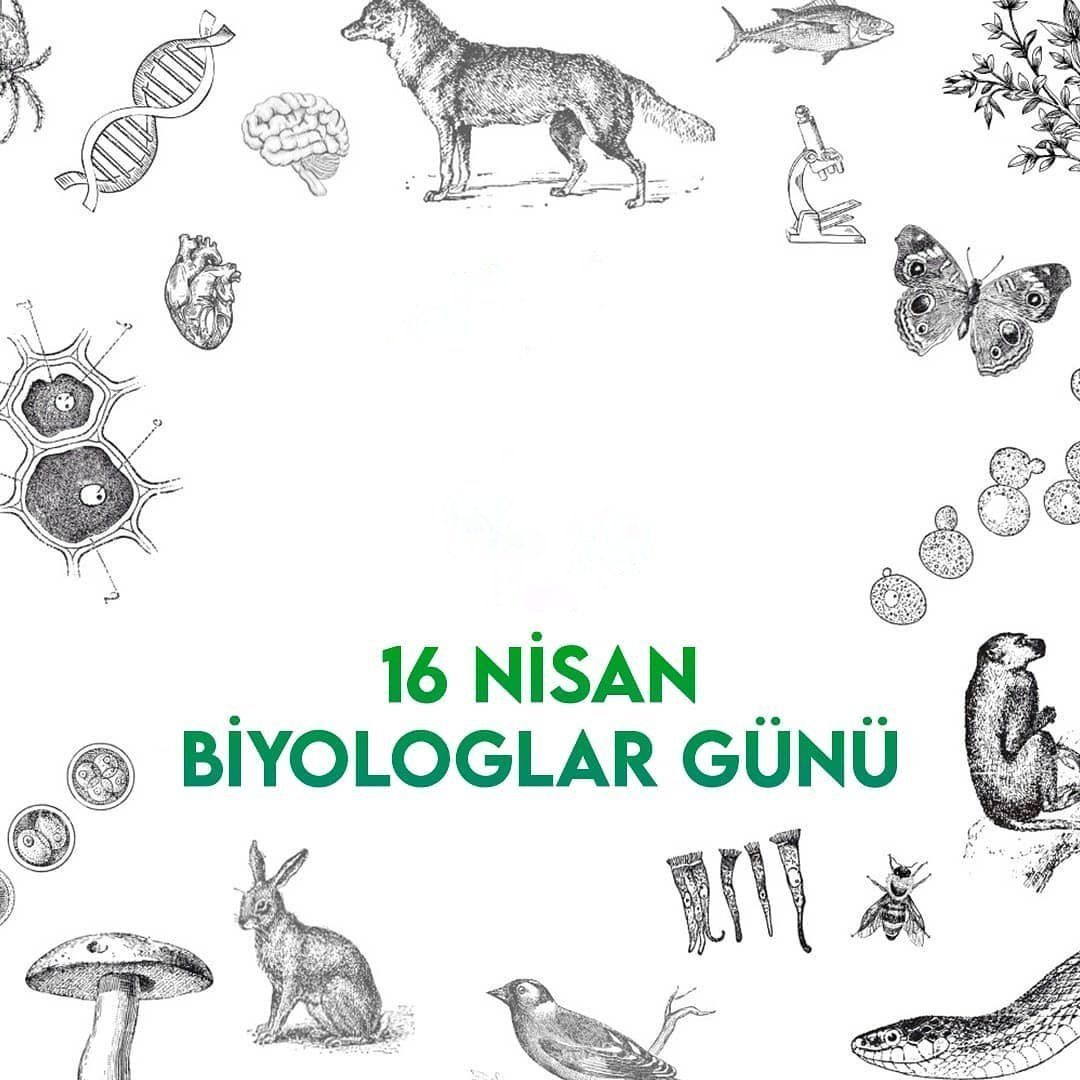 #16Nisan #Cumartesi sabahından herkese #Günaydın 🕊️ Bugün #BiyologlarGünü Çevremizde gördüğümüz ve bizlerin de bir parçası olduğu 'yaşam' adı verilen bütünün açıklaması adına çalışan bilim insanlarına verilen ünvandır biyolog. Bütün biyologlarımızın bu özel günü kutlu olsun.