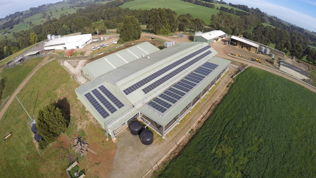 Agriculture Victoria has analysed data from 680 on-farm energy assessments and 320 grants, provided under Victoria’s Agriculture Energy Investment Plan, to create a unique summary of Victoria’s on-farm energy use and improvements. 
Find out more here. buff.ly/4aHxxXs