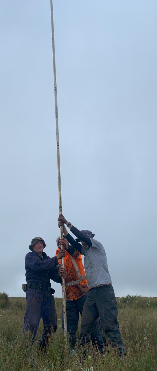 All Andrea Johansen needs to complete her #PhD is a little faith, trust, and #palaeodust. She recently travelled to #ChathamIsland to collect peat cores - useful archives of dust. Read Andrea's account of this incredible & long-awaited field trip: arcsaef.com/story/in-pursu… @UOW