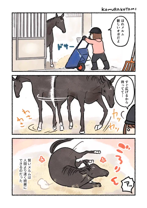 馬房掃除と賢い馬
#コミックエッセイ 