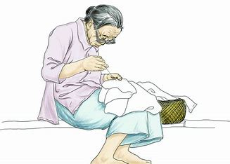 萝卜(❖,❖) tweet media