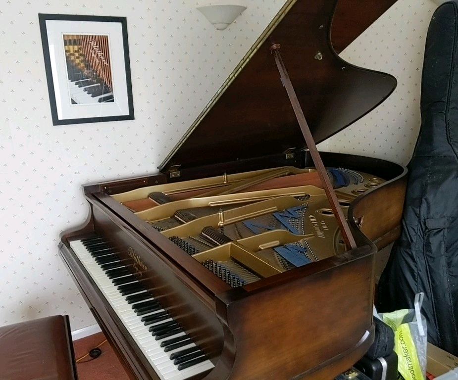 pianotunermjr's tweet image. Tuning a Bluthner Grand Piano dating from 1894 in Haughton, Bridgnorth. This instrument uses the Bluthner patent action and Aliquot stringing

#bridgnorth #bluthner #music #musicians #heughton #grandpiano #piano #pianist #pianotuner #pianotuning