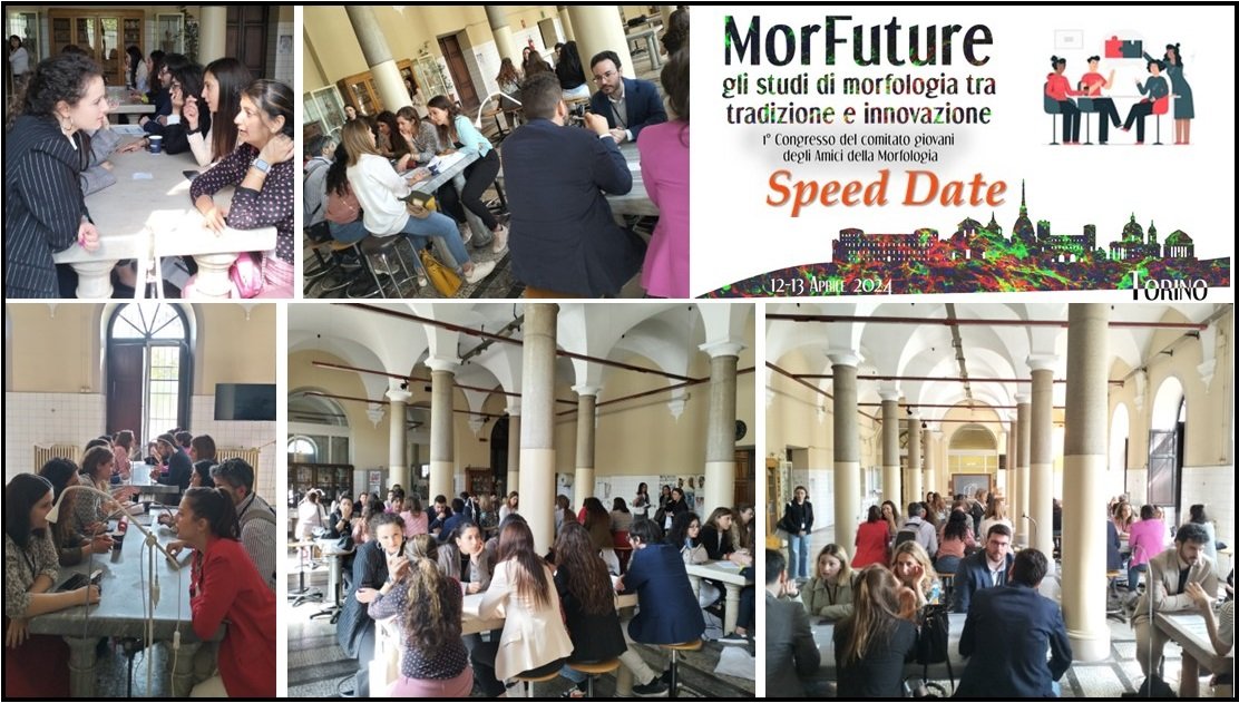 anna_caretto's tweet photo. The first congress of the "Comitato giovani AdM" 'MorFuture: gli studi di morfologia tra tradizione e innovazione' was a success! Sponsors: @IdelsonGnocchi, @Anatomage, Crisel, Diapath, @thermofisher, Starlab.
Patronage: SIAI, AdM, NICO
See you to the next edition!#Morphology https://t.co/uRCNfI1k1W