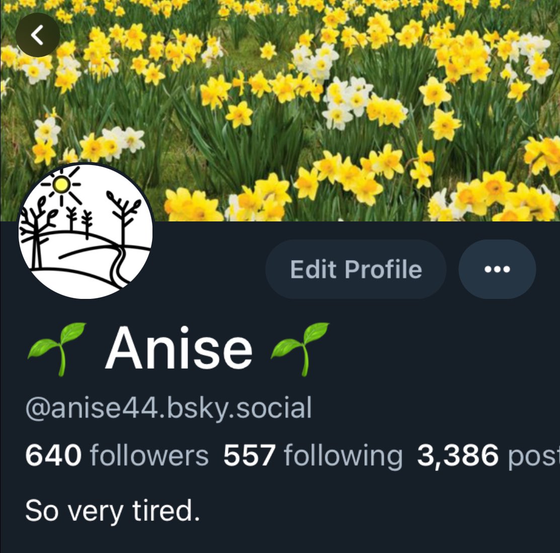 🌻 anise 🌻 tweet media