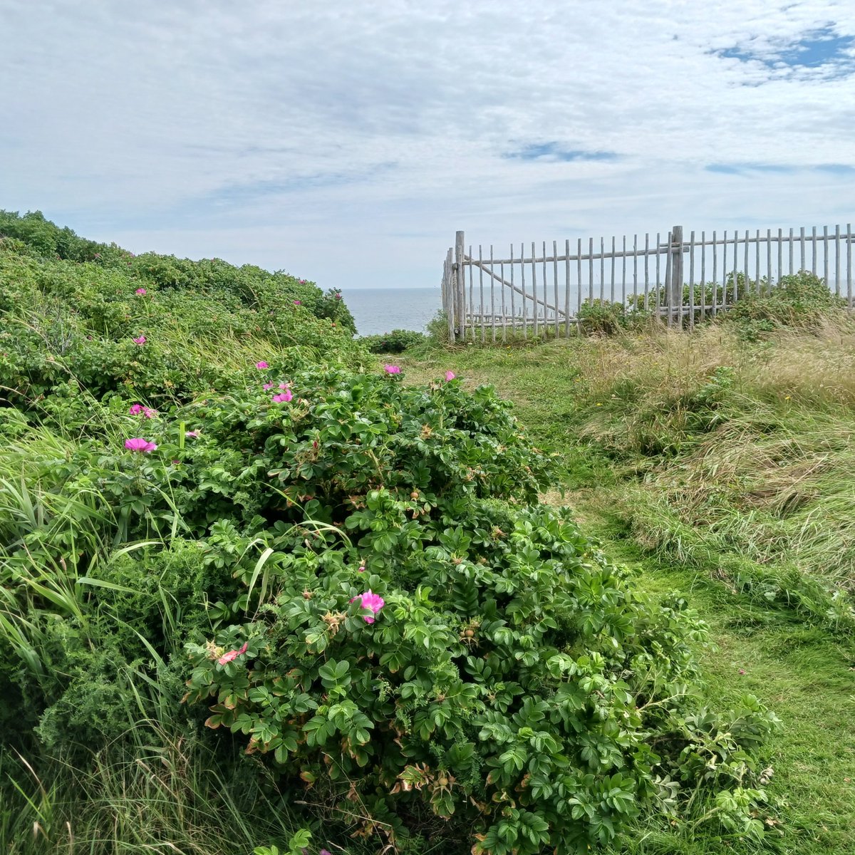 It's National Tourism Week in Canada - a great time to book a trip to our beautiful area in Newfoundland!

#BonavistaPeninsula