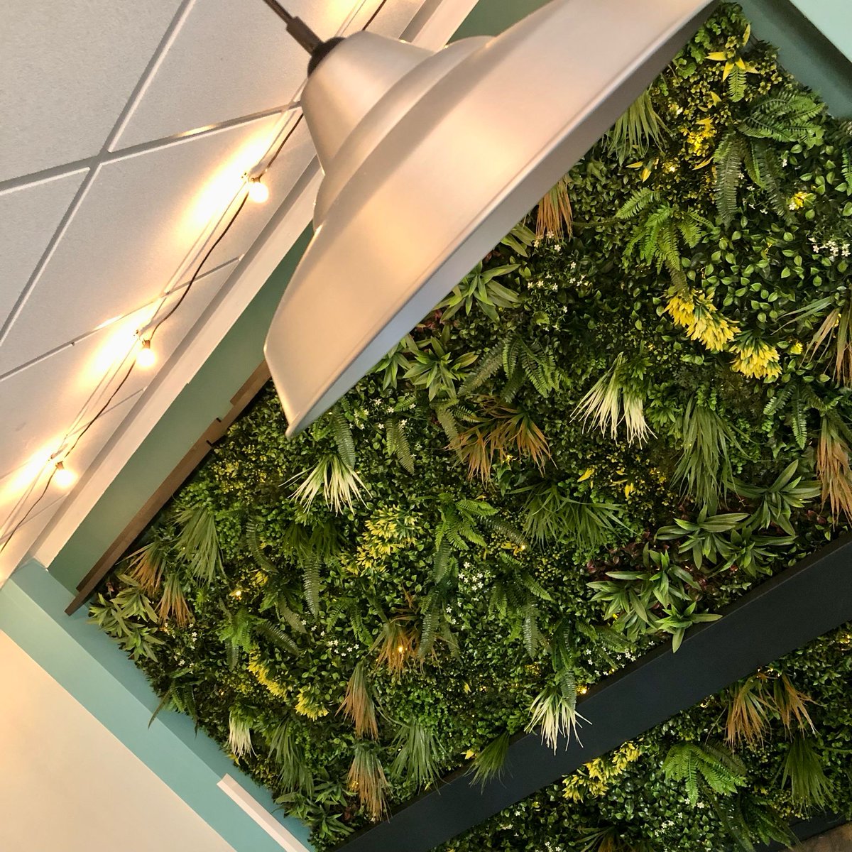 WWPATPremises's tweet photo. @whistonwg dining hall has had a glow up this half term! A welcoming and inviting place to sit, chat and eat together .. it's great to hear that the children are already loving it 😆That's what it's all about! #LearningEnvironment @WhiteWoodsPAT1 https://t.co/Sn3RhdD5nT