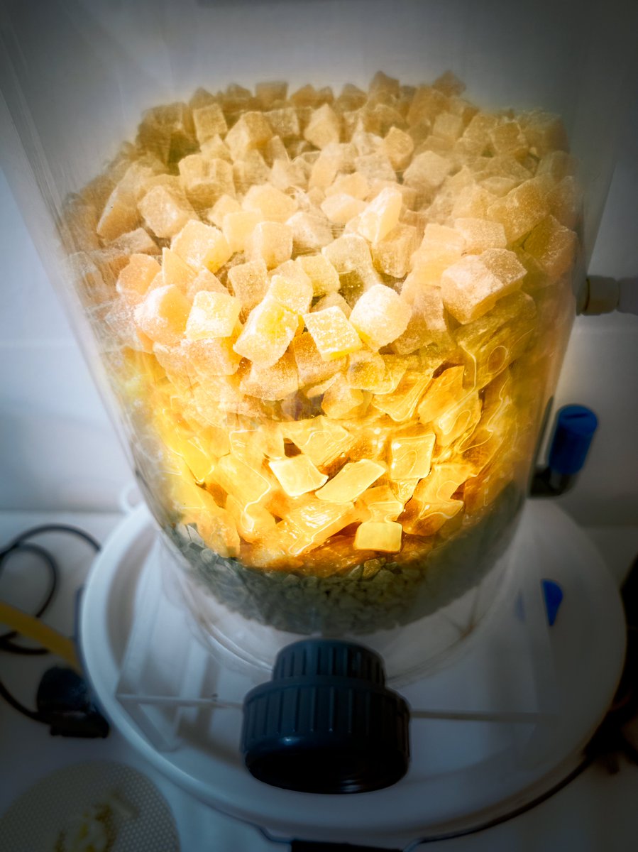 DFSschmickl's tweet photo. Great idea for #vinegar: #candied #ginger https://t.co/2Lr9YSiGYh