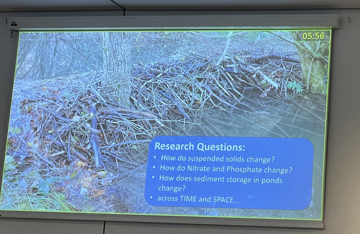 #Beavers and water quality. Great presentation @RunWildGB #egu24 @ExeterGeography