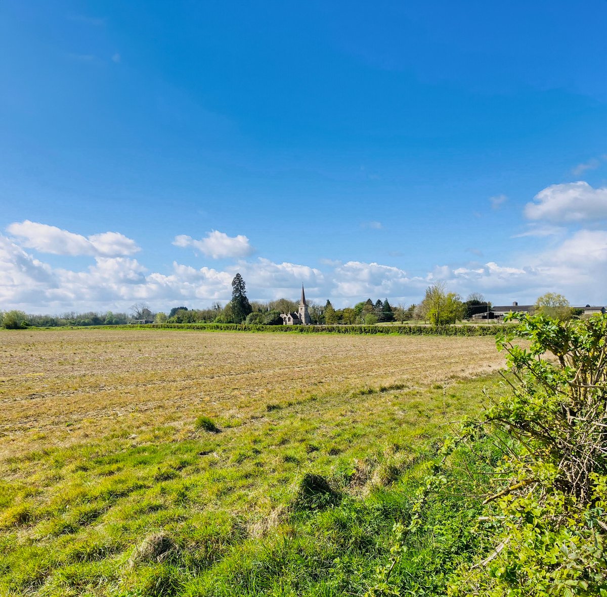 The beautiful countryside with Grade II* Listed Church of St Giles, Alderton, in the distance across the fields. Each photo's foreground is part of the proposed Lime Down Industrial Solar installation. #stoplimedown #solaronroofs #protectourcountryside