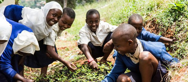 Hey, little explorer! 

Agriculture is more than just farming; it's about creativity, entrepreneurship, and protecting our planet. At STEP, we're constantly discovering fresh approaches to dive into agribusiness and tackle significant challenges together!

#Agribusiness #STEP