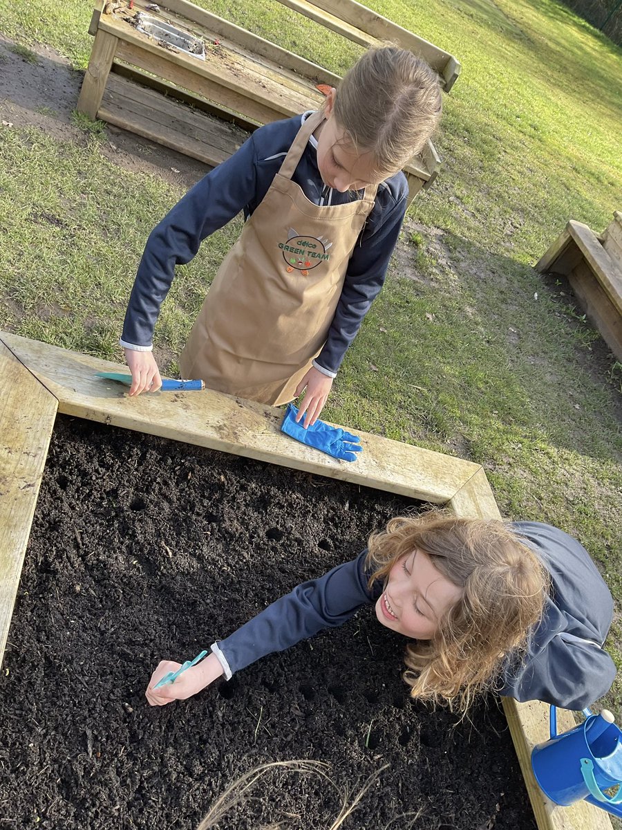 The Department for Environment have been busy planting seeds to grow vegetables that will be cooked and eaten in our own school kitchen!