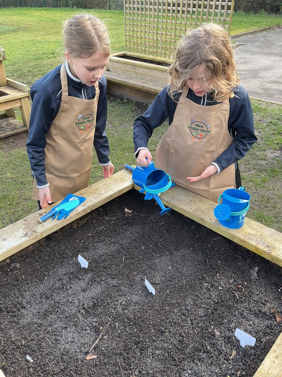 GorseyCommons's tweet photo. The Department for Environment have been busy planting seeds to grow vegetables that will be cooked and eaten in our own school kitchen! https://t.co/kHzLcdmlRe