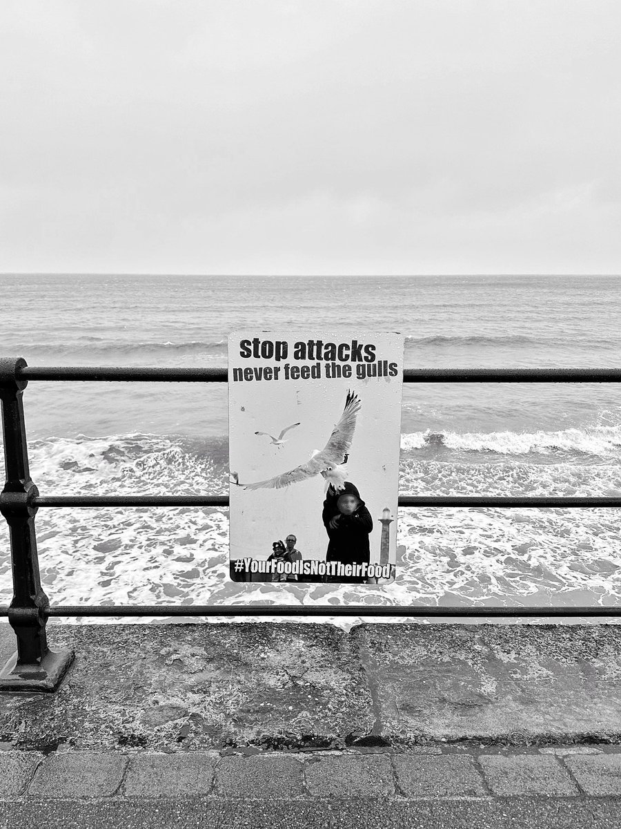 Don’t feed the gulls!! #YourFoodIsNotTheirFood #Filey