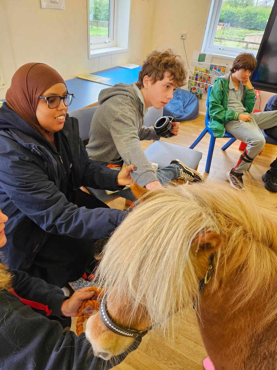 The Countryside Learning Centre had a visitor yesterday in the form of a miniature Shetland pony! Young people and staff alike were thrilled as they were able to brush and pet the adorable guest from Little Hooves.