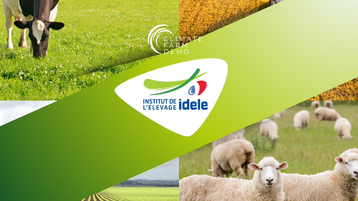 ClimateFarmDemo's tweet photo. Meet #ClimateFarmDemo project leaders - @InstitutElevage. With over 330 experts, they are addressing climate change, animal welfare, and innovation. So thrilled to have such a renowned institute leading our efforts in #ClimateSmartFarming in Europe. 🇪🇺🚜 https://t.co/lg8Mu1857O