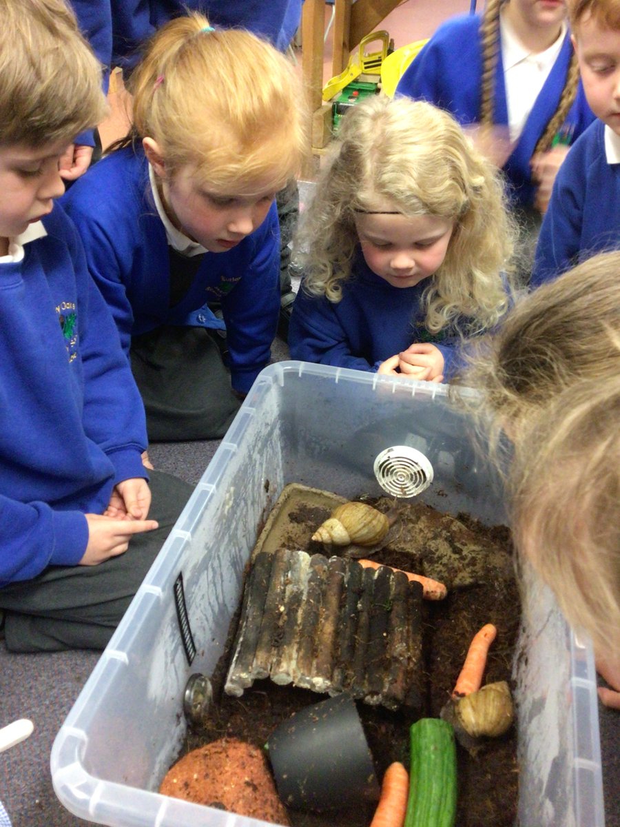 Two Giant African land snails have come to visit the EYFS. Can you guess their new names?