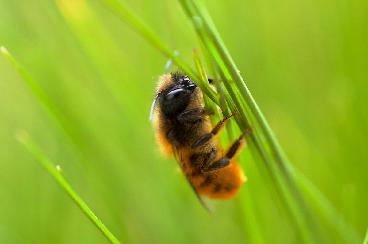 Oficina Verde USAL tweet media