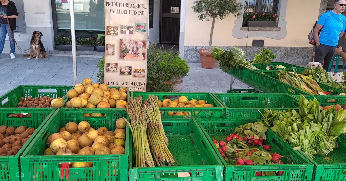 Organic farmers market in Appiano Gentile, Lombardia, Northern Italy 
#Italy #streetmarket #Lombardia #organicfood