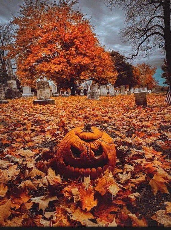 197 more days till halloween 🎃🍂🌧️