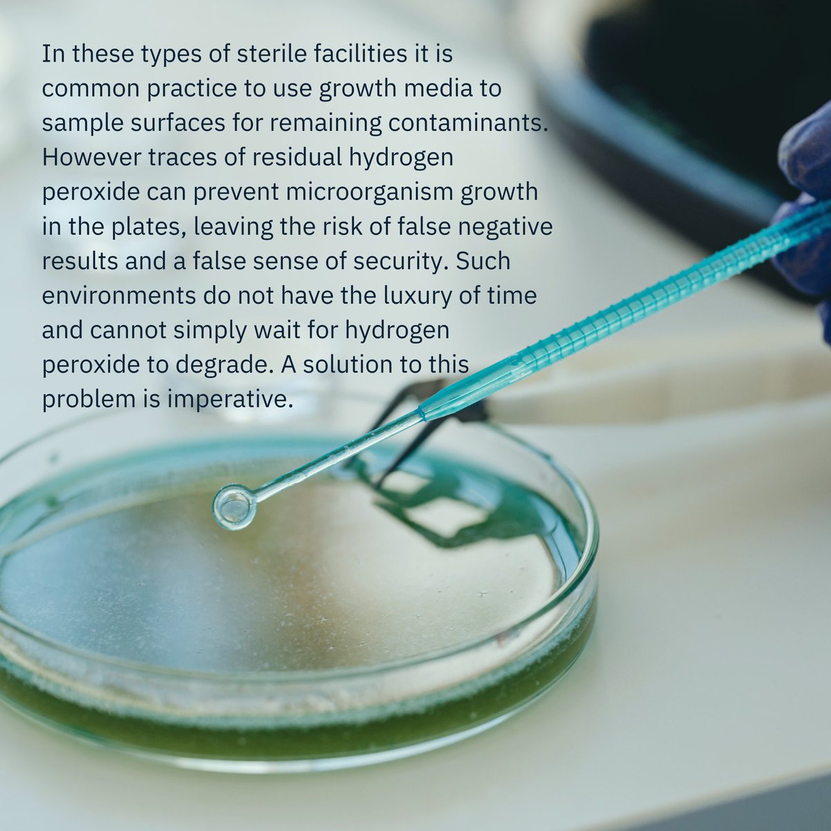 BiosynthGroup's tweet photo. Part 1/2 Add Biosynth’s ECAT01™ #catalase to your #growthmedia to eliminate traces of #hydrogenperoxide offering safe and secure #environmental monitoring. Order your catalase #enzyme today https://t.co/lMrFlrrnpo
#sterility testing #hygienetesting #contactplates #food #Pharma https://t.co/tUHMdVgl11