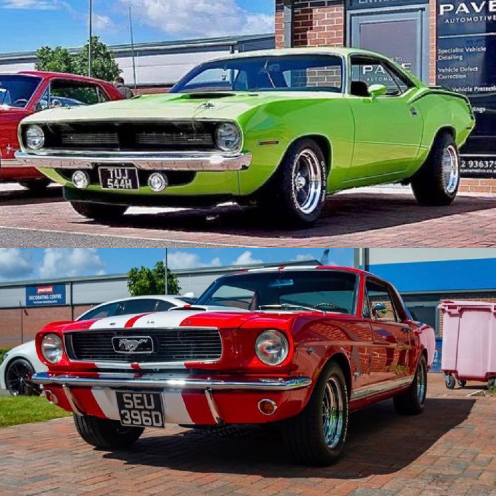 Barracuda or Mustang ?
