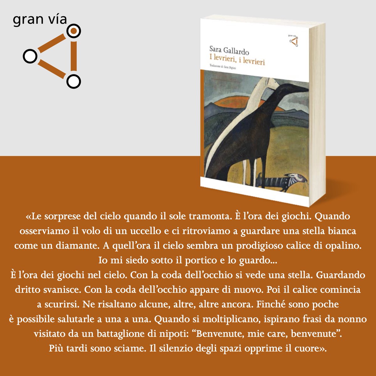 granviaedizioni's tweet photo. "I levrieri, i levrieri" di Sara Gallardo, vincitore nel 1968 del Premio Municipal, è un poema sull’amore e su ciò che rimane quando tutto svanisce e la vita deve andare avanti, ed è anche l’opera della maturità artistica di un’autrice solo oggi riscoperta. https://t.co/efUNdzyLrS