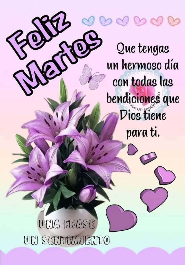 Melvin Rojas tweet media