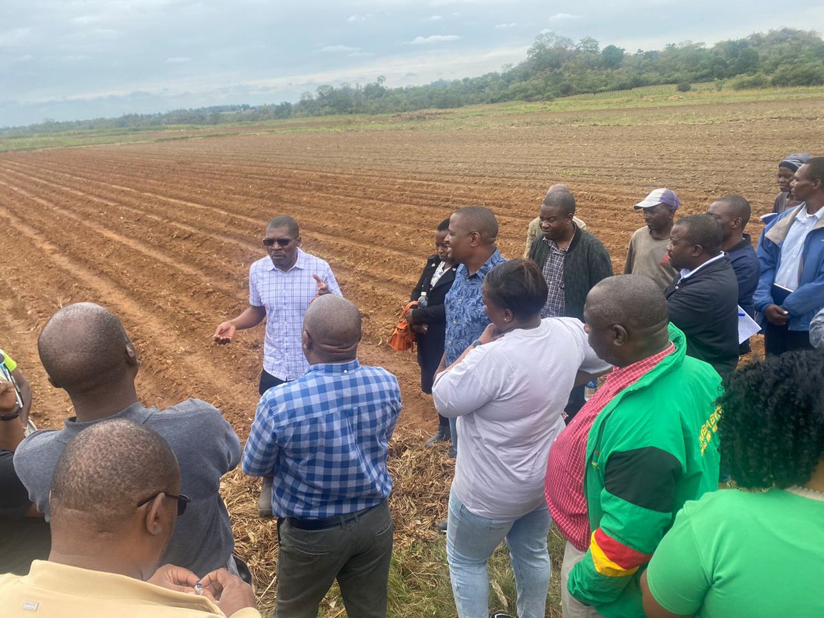 Today we went on a learning visit with PermSec Mr. Solomon Mhlanga and representatives from Vocational Training Centres in #Midlands to appreciate exports of horticultural produce. Our aim is to empower farmers into export practices! #EnergisingExports #LeavingNoOneBehind