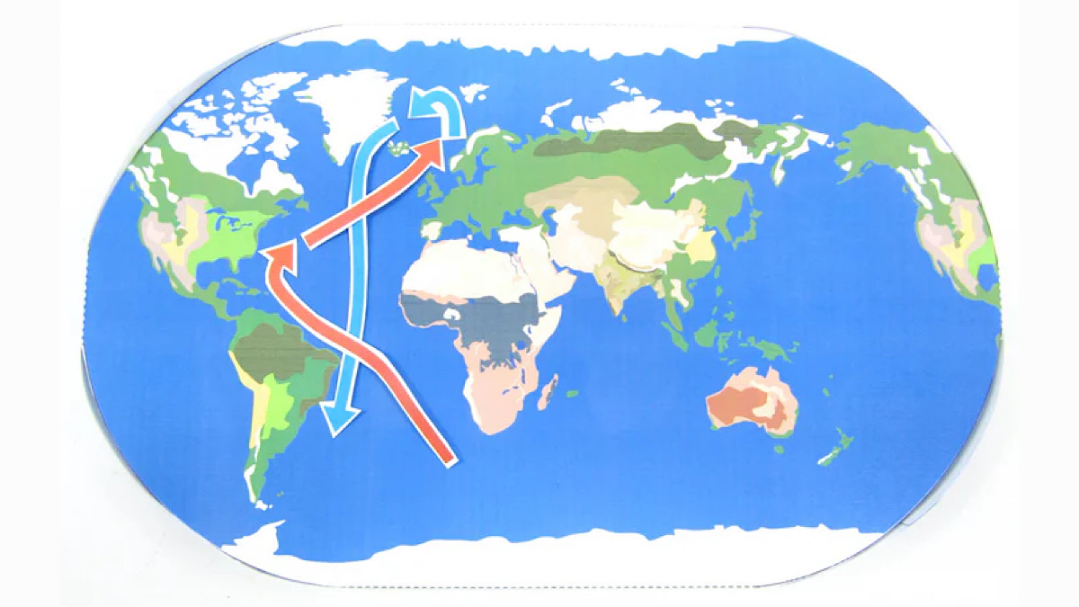 A great read to go with our latest paper model!⬇️
Ocean Conveyor Belt bit.ly/49CzHH8

#AMOC #earthscience #geography #geographyteacher