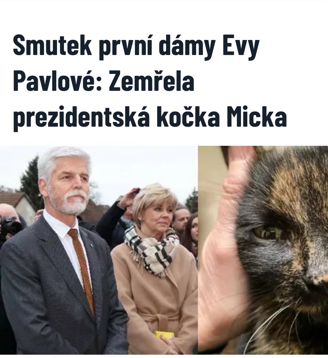 Why_aj_em_hir's tweet photo. Národní tragédie. Státní smutek kdy ? https://t.co/EmnYTREYuA