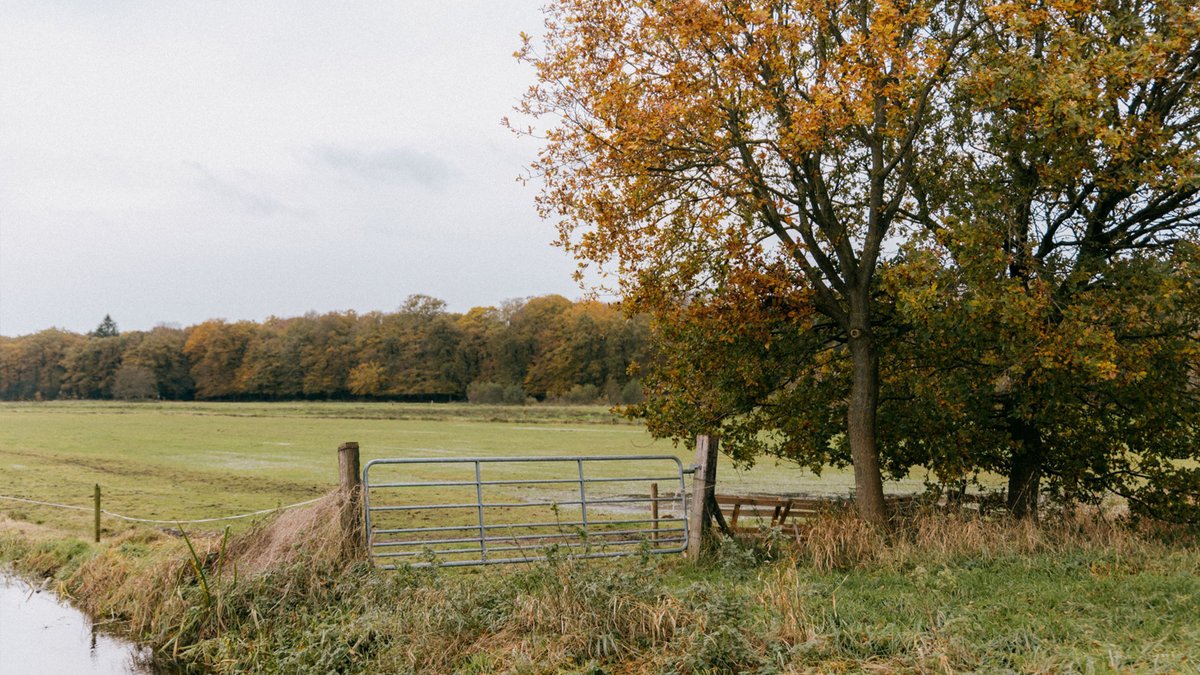 De plannen voor de Polders Oosterland en Lappenvoort (POL) krijgen steeds meer vorm. De ambitie is om het gebied in 2027 te hebben ingericht als natuurgebied. Daarvoor moet de komende jaren nog veel gebeuren. Lees hier meer over via bit.ly/3xxjjKq 📷: Tristan Drijver