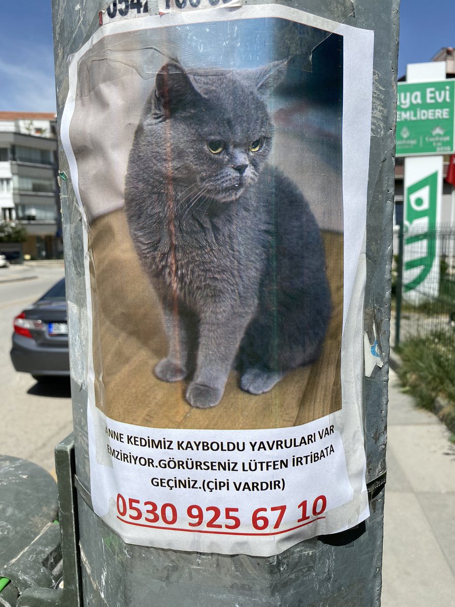 Çankaya/ANKARA 
Bademlidere mah.