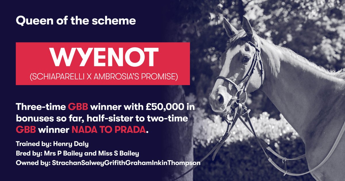 Did you catch our March newsletter featuring this month's Queen of the Scheme? WYENOT Schiaparelli X Ambrosia's Promise 3 x GBB winner with £50,000 in bonuses so far Half-sister to GBB winner NADA TO PRADA @hdalyracing @overburysires @bloodstocknews @rpbloodstock