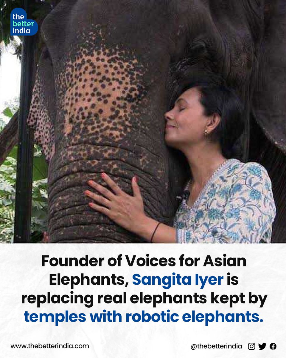 Swipe to learn about the heroes who stand between elephants and extinction >> 

#SaveTheElephantDay #ElephantDay #WildlifeConservation #India #Elephants #SaveElephants #ElephantHeroes