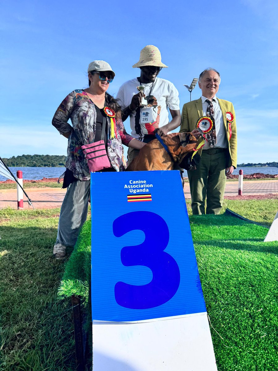 @amukastudfarm also represented northern Uganda. We are proud of how far you have come and you set the bar high 🐾🐾🥳🥳💃. Thank you for being part of our sponsors.🐾🥳🏅🎊. #dogshowweekend #caupedigreedogs #caudogs