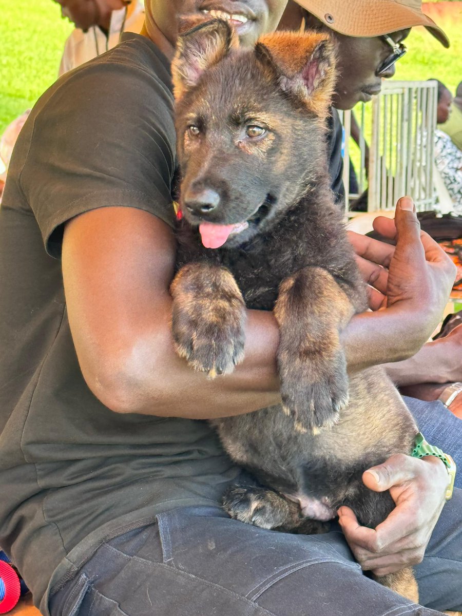 CanineAUganda's tweet photo. @amukastudfarm also represented northern Uganda. We are proud of how far you have come and you set the bar high πΎπΎπ₯³π₯³π.
Thank you for being part of our sponsors.πΎπ₯³π
π.
#dogshowweekend
#caupedigreedogs
#caudogs https://t.co/SJ1nwSTOPX
