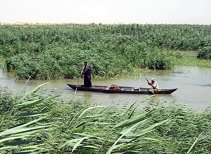 RepublicOfIraq's tweet photo. فينيسيا الشرق او #اهوار_العراق

عالم من سحر الطبيعة وجمالها الخلاب، وإبداع البسطاء يعيشون على بقعة من المياه، وتحديدًا في وسط الأهوار في الجنوب 
والأهوار تكون على شكل مثلث تقع ضمن مدن العمارة والناصرية والبصرة على رأسه

هل زرت ال��هوار مثل السائحة الامريكية؟ https://t.co/37XZjZAJT1