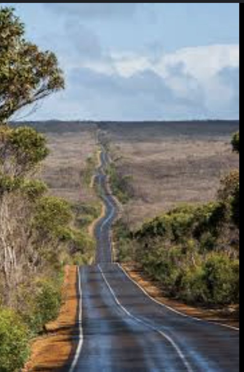 @NigeriaStories I know you want to sell Nigeria 🇳🇬, but you shouldn't lie to do that. This is kangaroo road in Australia. This is a picture of it during the summer