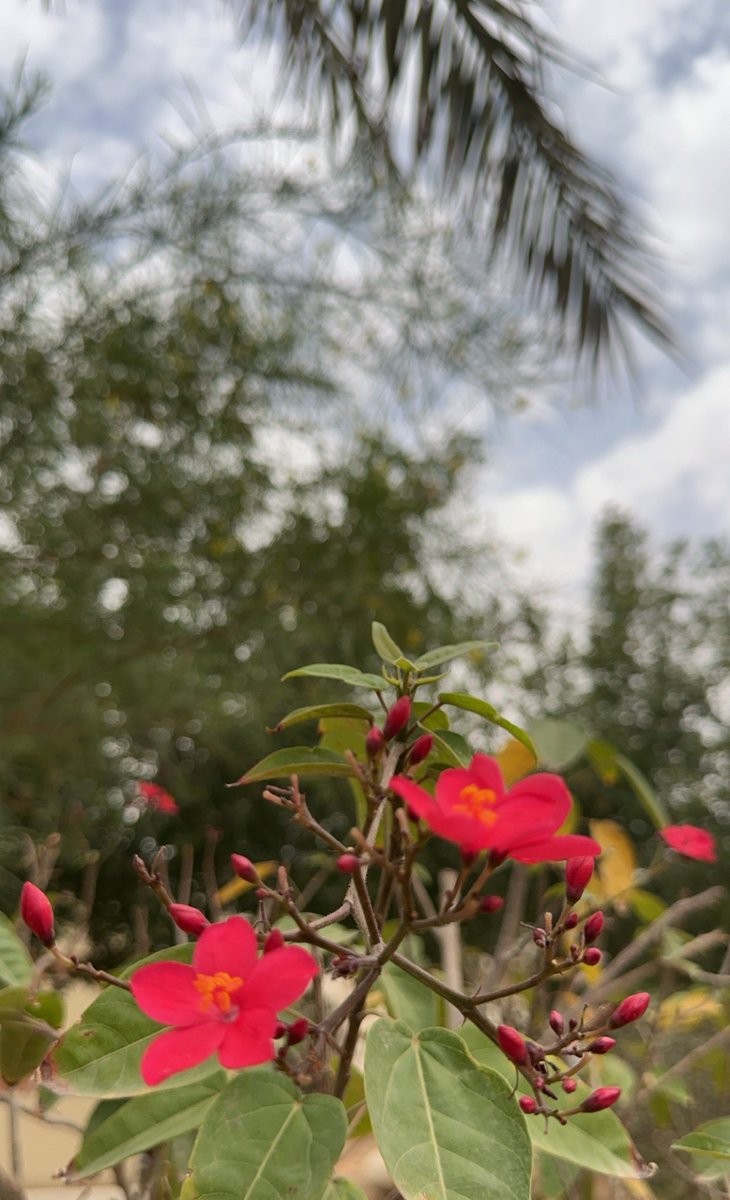 grateful_9's tweet photo. Nature holds the purest beauty! https://t.co/5SDqagPKkC