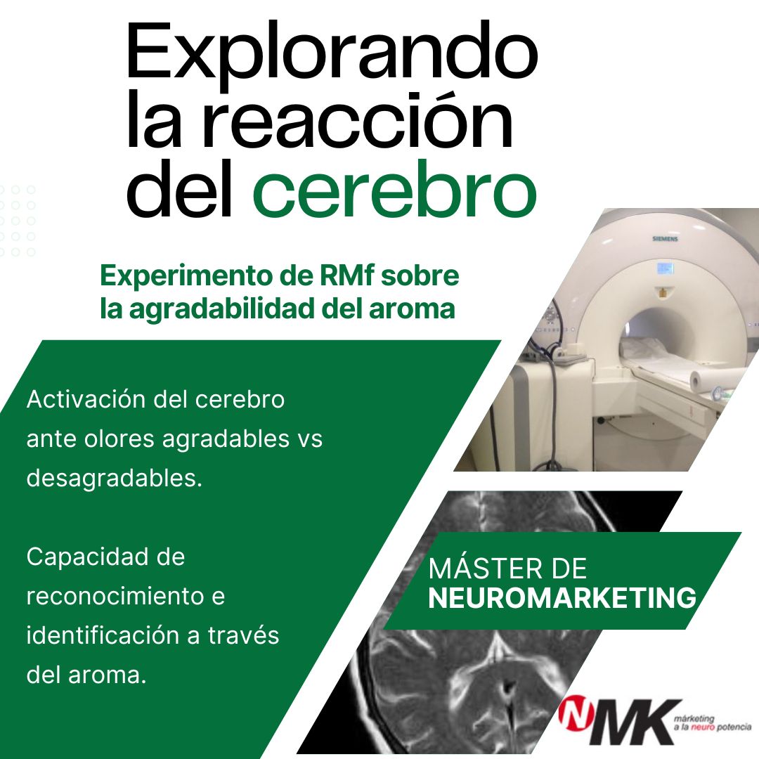 En el máster de neuromarketing en la UAB, los estudiantes se encuentran haciendo experimentos de RMfC sobre la  agradabilidad del aroma y su aplicación al ámbito empresarial y publicitario.