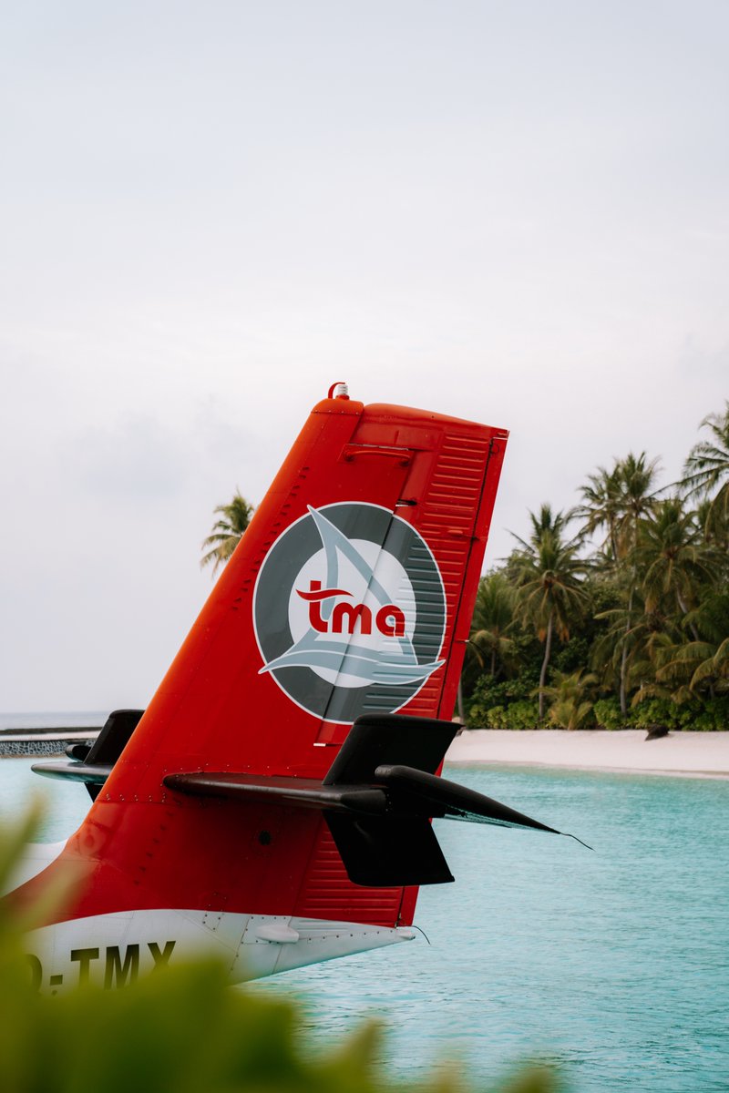TransMaldivian's tweet photo. Adventure awaits beneath the palms π΄π
π·: duosdream via IG
#SunnySideofLife #ParadiseFound #TMAExperience #VisitMaldives #SeaplaneAdventures #FloatPlan #TwinOtter https://t.co/Hu77PASkBd