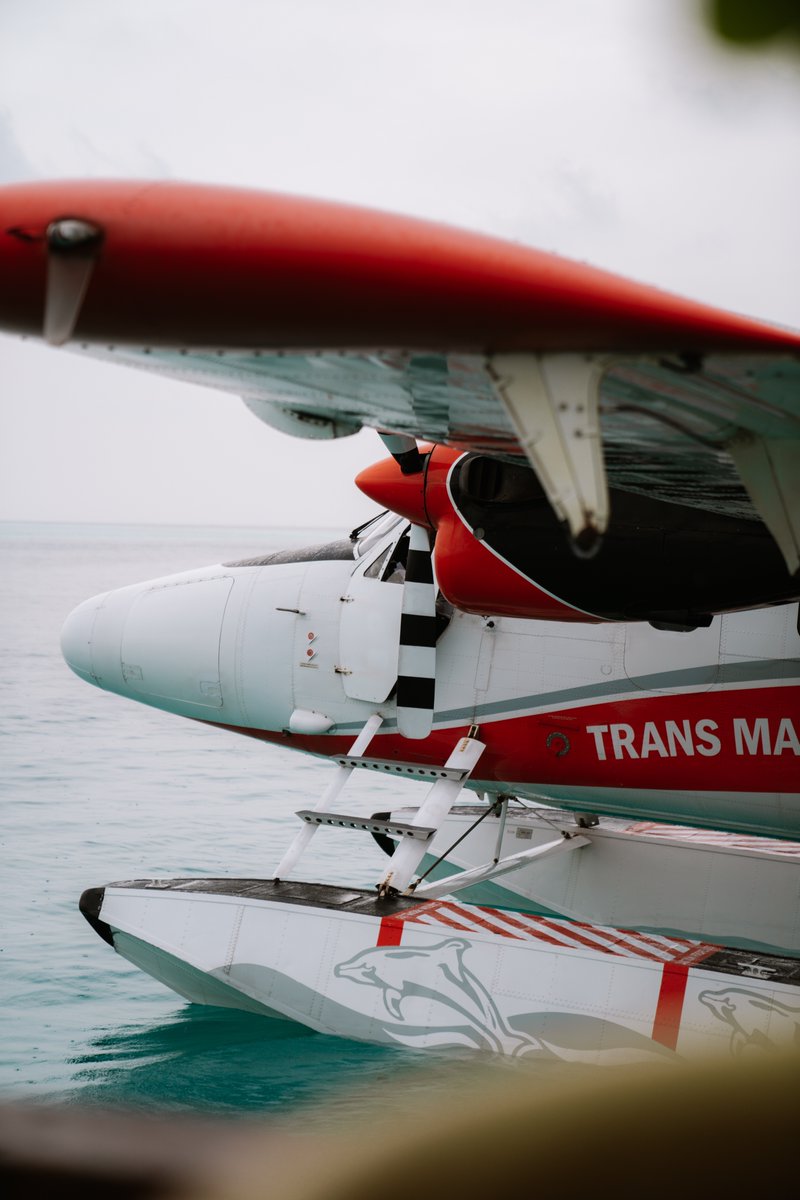 TransMaldivian's tweet photo. Adventure awaits beneath the palms π΄π
π·: duosdream via IG
#SunnySideofLife #ParadiseFound #TMAExperience #VisitMaldives #SeaplaneAdventures #FloatPlan #TwinOtter https://t.co/Hu77PASkBd
