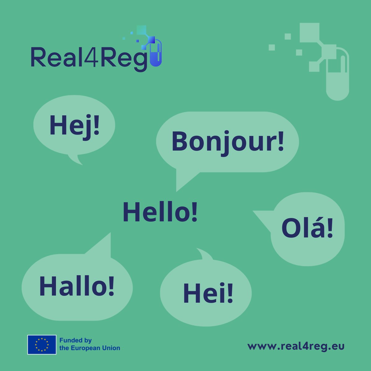 📢 The Real4Reg website received a recent update. We're thrilled to announce that the Information for Patients section is now available in multiple languages! Patients from various European countries can access project information in lay language in their native tongue.