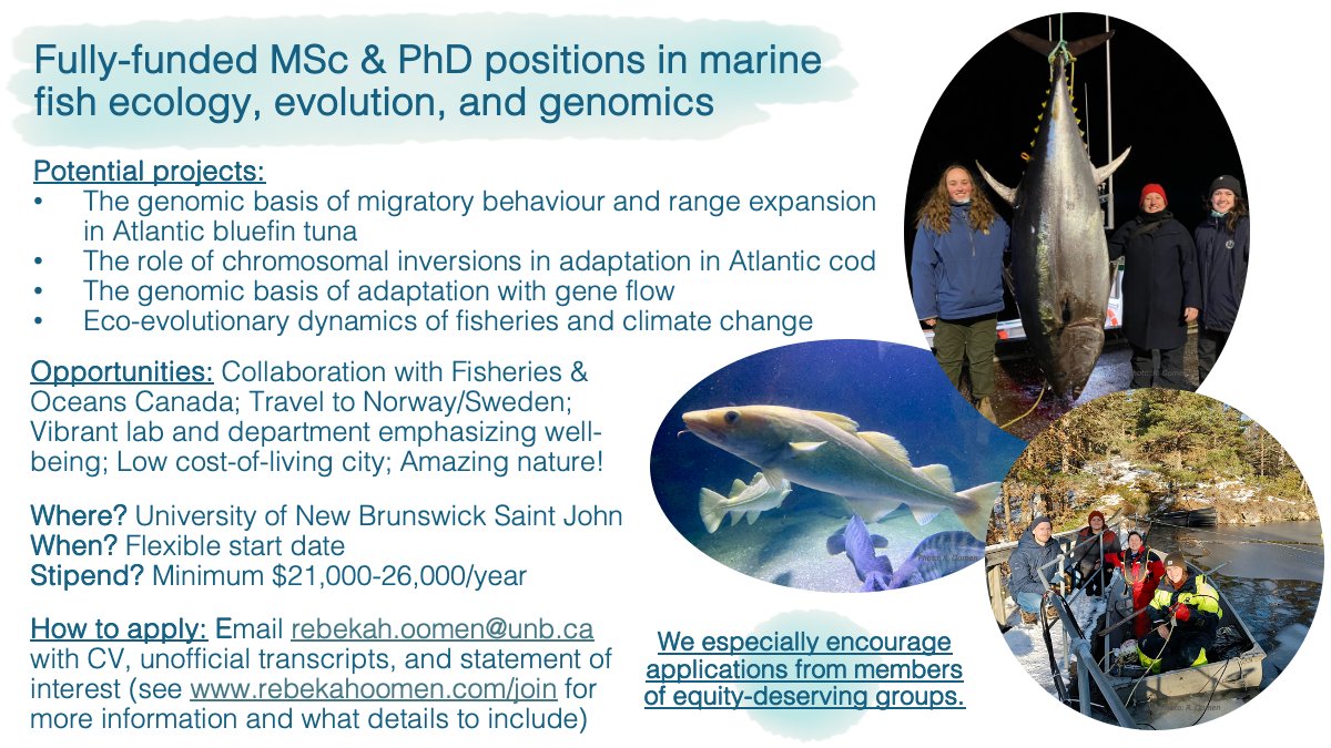 The Oomen Lab @UNBSaintJohn is officially funded by @InnovationCA @NSERC_CRSNG & @nb_innovation!🥳 We're recruiting fully-funded MSc & PhD positions in marine fish ecology/evolution/genomics.🐟🧬 Mentoring philosophy & more information: rebekahoomen.com/join.html Please RT!