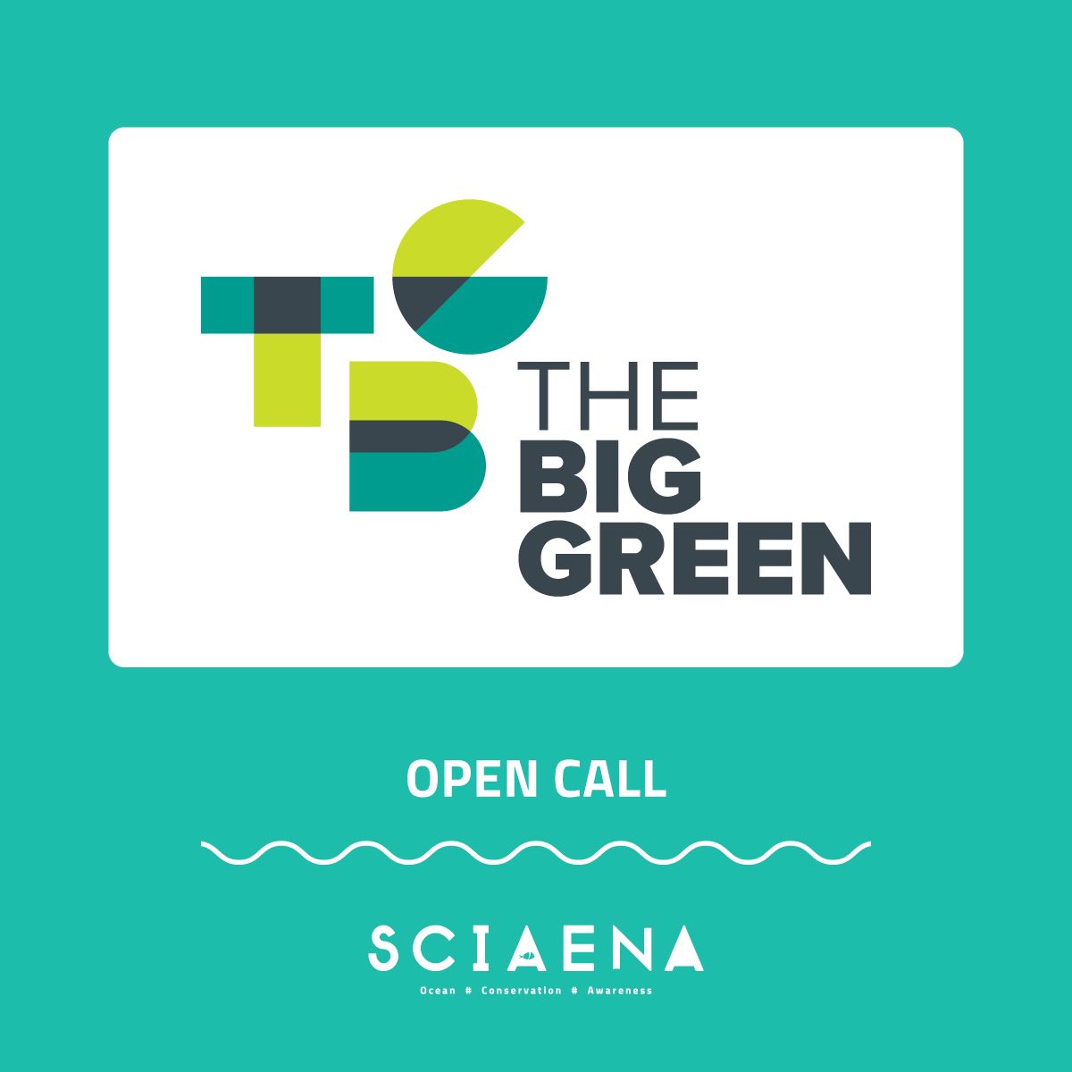 📣OPEN CALL 📣

🇪🇺“SOIL” é um projeto de quatro anos apoiado pela #CreativeEurope que une artistas e coletivos interessados pela conservação do ambiente, cientistas e ONG. 
Info aqui: sciaena.org/open-call-soil/
🔗Inscrições aqui até 20 de Maio: lnkd.in/eW2tPEsv
#TheBigGreen