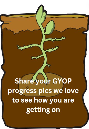 Grow Your Own Potatoes tweet media